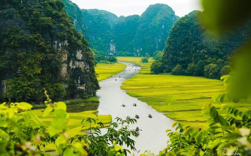 Tuần Du lịch Ninh Bình với chủ đề "Sắc vàng Tam Cốc - Tràng An" năm 2024 sẽ diễn ra từ ngày 1-8.6. Ảnh: Nguyễn Trường