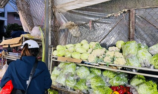 Bước vào mùa mưa, giá nhiều loại rau củ trên địa bàn tỉnh Lâm Đồng bắt đầu tăng cao. Ảnh: Mai Hương