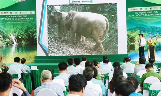 Đại diện Vườn Quốc gia Vũ Quang giới thiệu cho các đại biểu về đa dạng sinh học và công tác bảo tồn các loài động, thực vật tại vườn. Ảnh: Trần Tuấn.