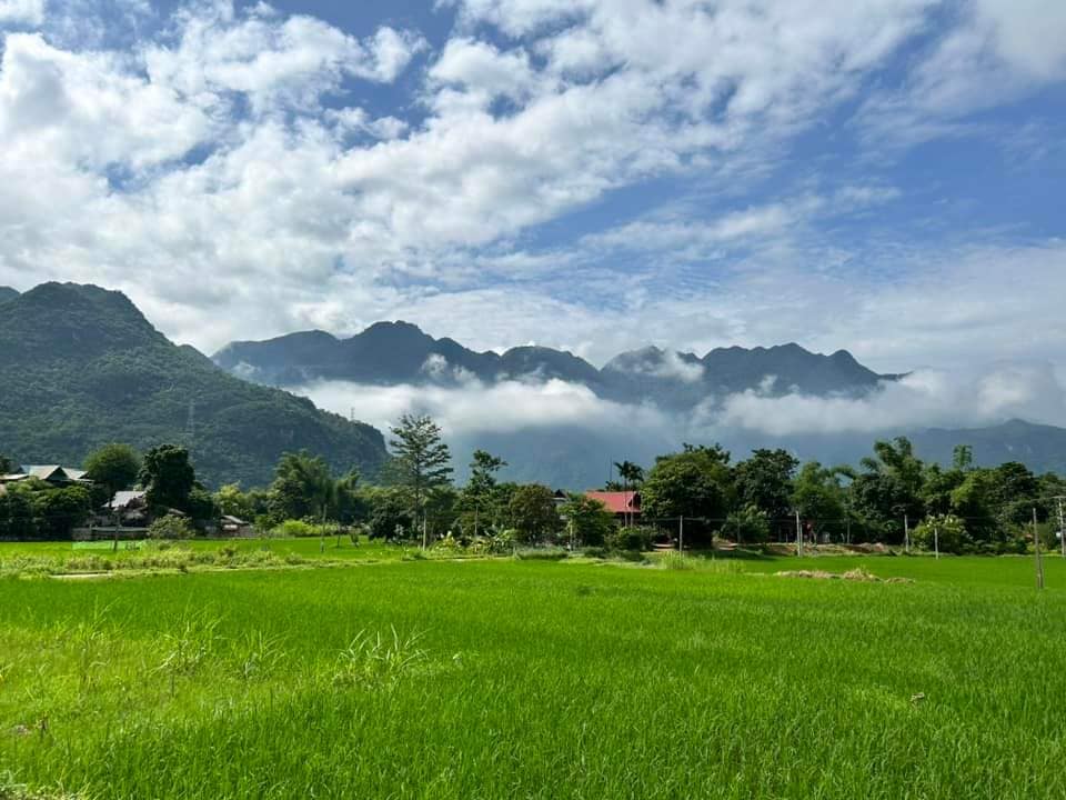 Vẻ đẹp như tranh vẽ của Mai Châu. Ảnh: Mai Chau Mountain