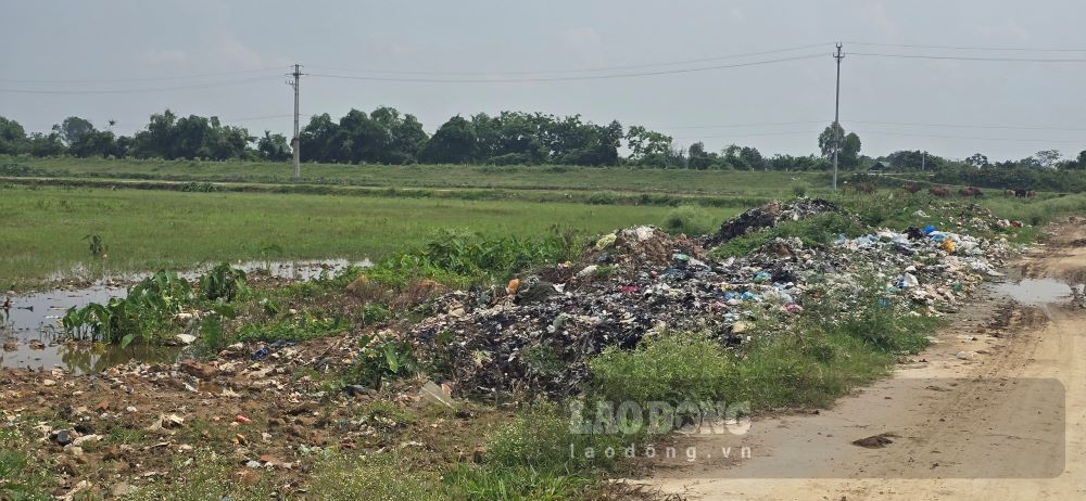 Bãi rác cũ của thôn Lương Cả, xã An Ninh thuộc diện thu hồi đất để thực hiện dự án. Ảnh: Trung Du