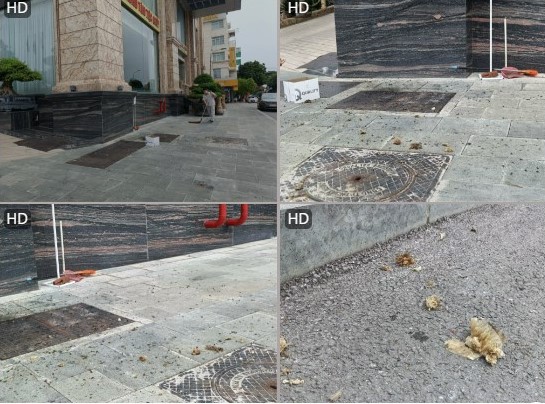 Nhiều xác tổ ong, xác ong còn vương vãi ở hành lang khách sạn. Ảnh: Mai Dung