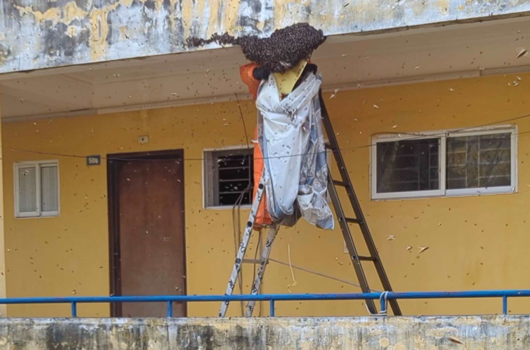 Lực lượng Cảnh sát PCCC và CNCH tháo dỡ tổ ong an toàn. Ảnh: Công an Hải Phòng