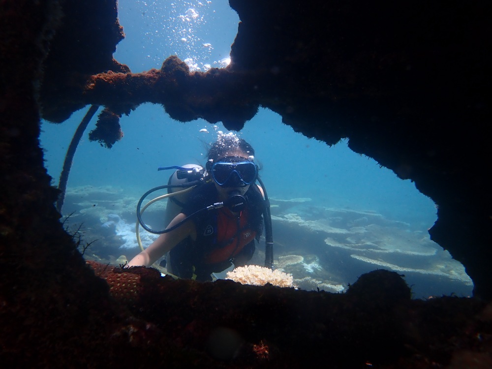 Khám phá dưới lòng đại dương là trải nghiệm thú vị. Ảnh: Amadive Dive Center