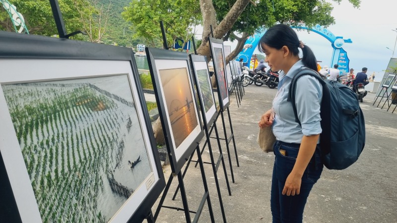 Triển lãm ảnh về đa dạng sinh học Cù Lao Chàm. Ảnh Nguyễn Hoàng