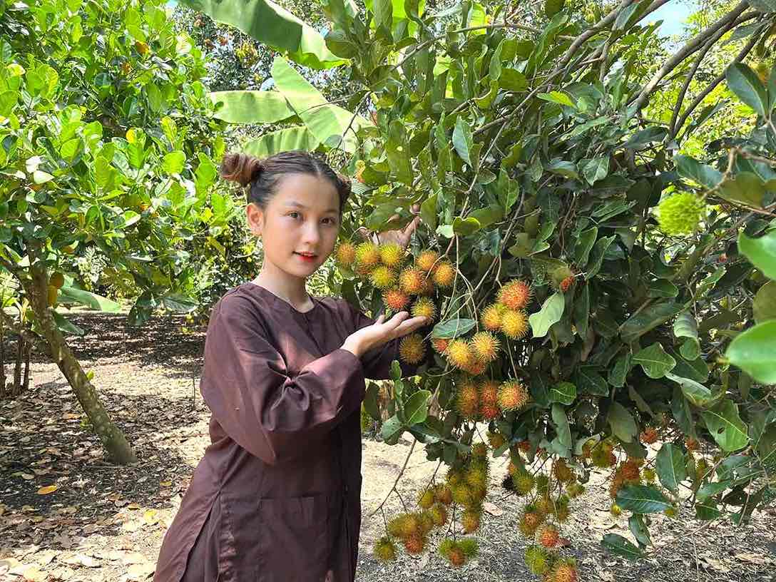 Du khách tới tham quan tại vườn trái cây Út Tiêu, ấp Cây Da, xã Bình Lộc, TP Long Khánh. Ảnh: HAC