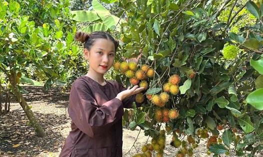 Du khách tới tham quan tại vườn trái cây Út Tiêu, ấp Cây Da, xã Bình Lộc, TP Long Khánh. Ảnh: HAC