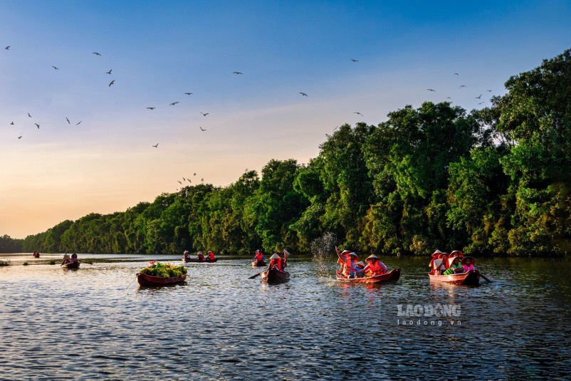 Khu Bảo tồn sinh thái Đồng Tháp Mười (huyện Tân Phước, tỉnh Tiền Giang) được thành lập từ năm 2000, với diện tích 106,8 ha rừng tràm với nhiệm vụ quy tập và bảo tồn các loài động, thực vật đặc trưng của vùng Đồng Tháp Mười. 