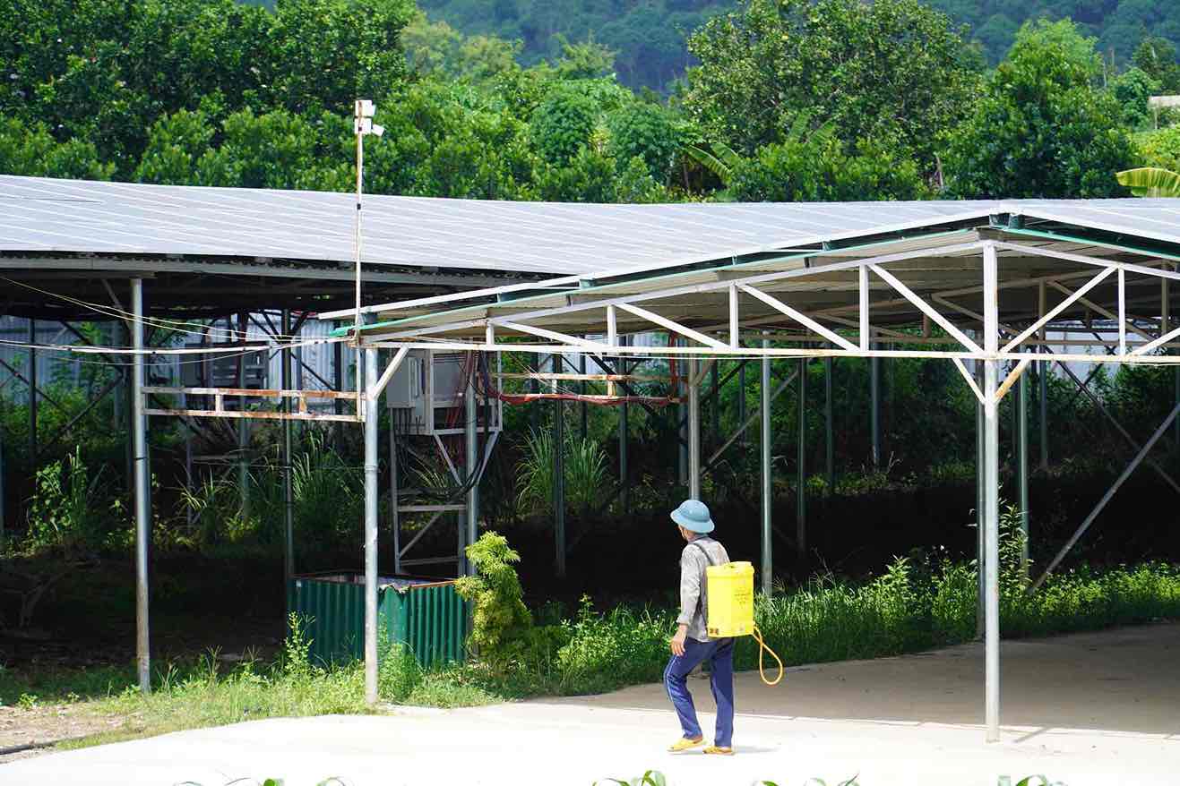  Cơ sở điện năng lượng mặt trời tại ấp 2, xã Tà Lài, huyện Tân Phú. Ảnh: HAC 