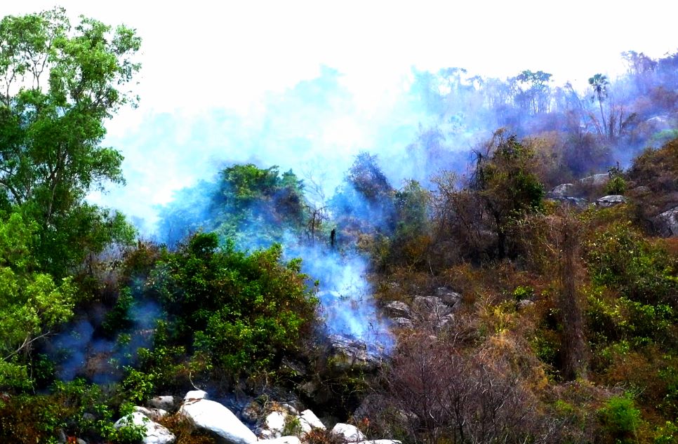 Cận cảnh đám cháy rừng trên Núi Tô. Ảnh: Anh Tuấn