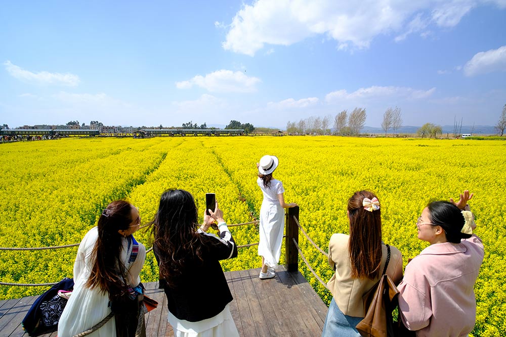 Khách du lịch chụp ảnh giữa cánh đồng hoa cải bạt ở Côn Minh, Trung Quốc. Ảnh: IC