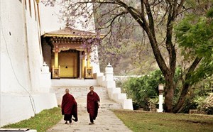 Ngắm mùa phượng tím ở đất nước rồng sấm Bhutan Ngắm mùa phượng tím ở đất nước rồng sấm Bhutan