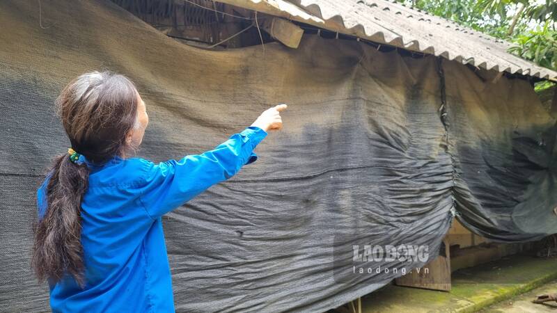 Gia đình bà Nguyễn Thị Tám phải phủ bạt để chắn bụi từ mỏ đá. Ảnh: Lam Thanh