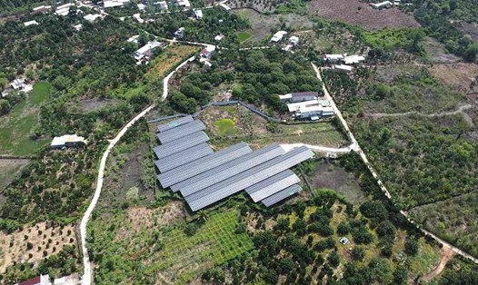 Cơ sở điện năng lượng mặt trời áp mái ở trang trại chăn nuôi trùn quế rộng gần 5.000m2 thuộc ấp 2, xã Tà Lài, huyện Tân Phú. Ảnh: HAC