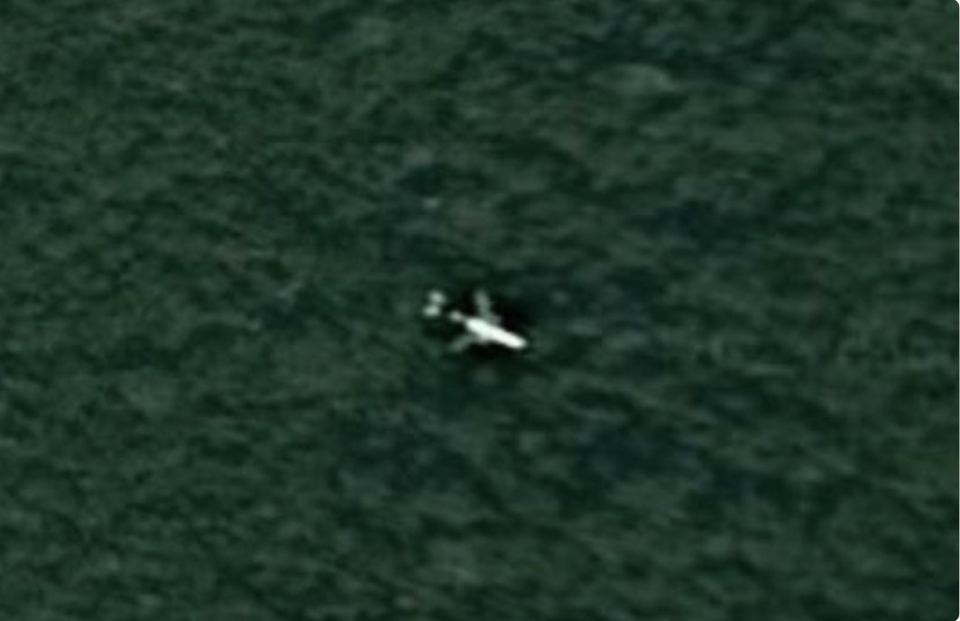 Ảnh vệ tinh được cho là máy bay MH370 ở giữa rừng rậm Campuchia. Ảnh: Google/Maxar Technologies