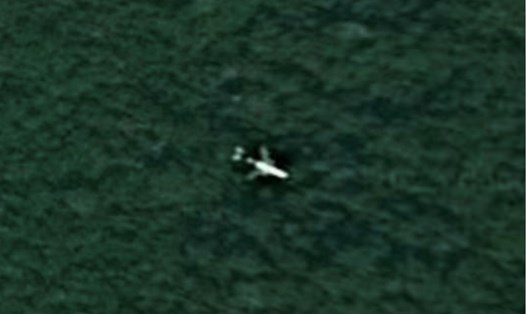 Ảnh vệ tinh được cho là máy bay MH370 ở giữa rừng rậm Campuchia. Ảnh: Google/Maxar Technologies