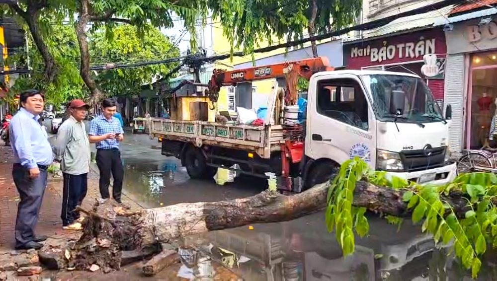 Đang di chuyển qua tuyến đường Nguyễn Việt Hồng, chị Ngô Trâm (25 tuổi) cho hay, mưa lớn khiến nhiều cây xanh bị đổ, bật gốc chắn hết lối đi giữa đường, do tay lái yếu nên chị phải nhờ một anh trai đi đường dắt xe qua giúp.