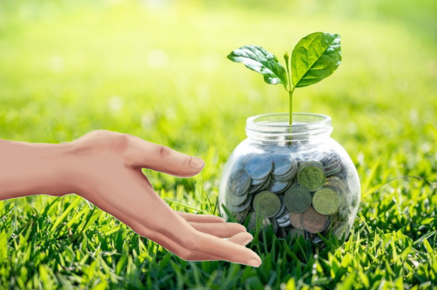 Rõ ràng chính sách và tiêu chuẩn quốc tế đóng vai trò quan trọng trong việc phát triển nền kinh tế xanh. Đồ hoạ: Phương Anh