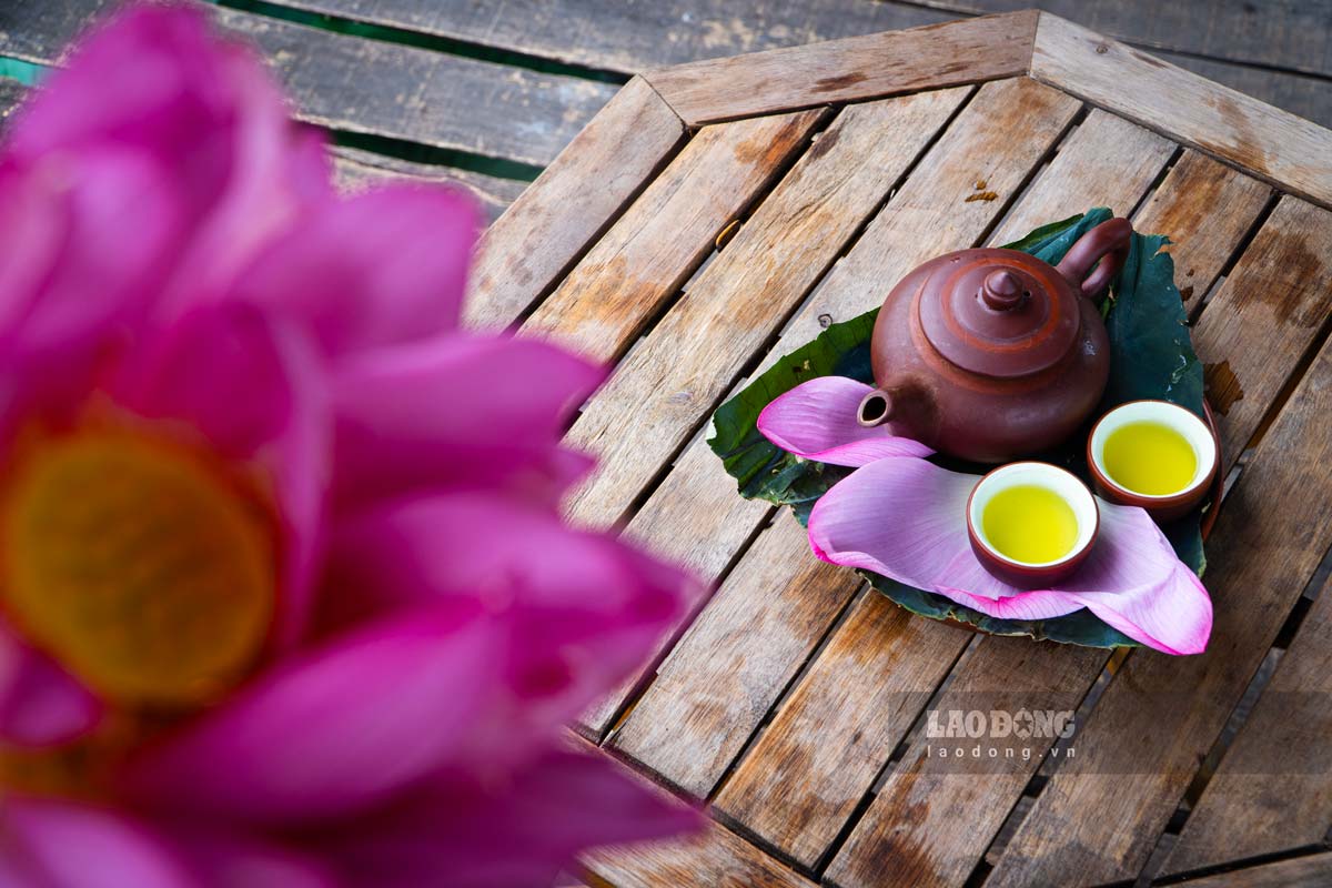 Thưởng trà sen Tây Hồ là hòa mình vào nghệ thuật truyền thống. Mỗi ngụm trà mang hương vị thanh tao, để lại cảm giác sảng khoái. Sự tinh tế trong chế biến khiến giây phút thưởng trà trở nên thiêng liêng, như giữ trong tay một phần tâm hồn Hà Nội.