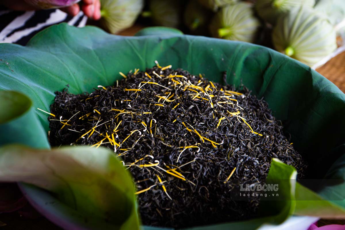 Loại trà được dùng để ướp trong bông sen phải là chè Thái Nguyên hảo hạng, có mùi thơm và hương vị đặc trưng.