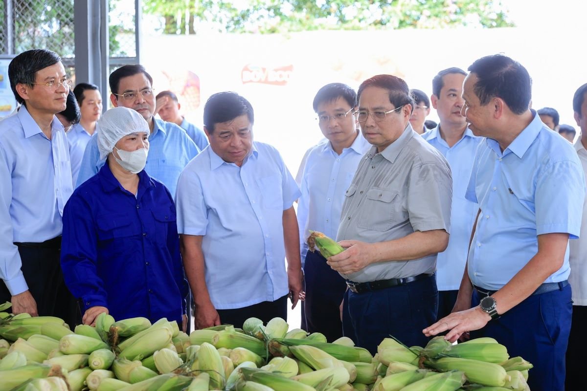 Thủ tướng Phạm Minh Chính thăm cơ sở chế biến nông sản của Công ty Cổ phần Thực phẩm xuất khẩu Đồng Giao (tại thành phố Tam Điệp, Ninh Bình). Ảnh: Nguyễn Hải