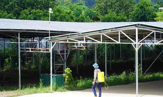 Cơ sở điện năng lượng mặt trời mái nhà tại ấp 2, xã Tà Lài, huyện Tân Phú. Ảnh: HAC
