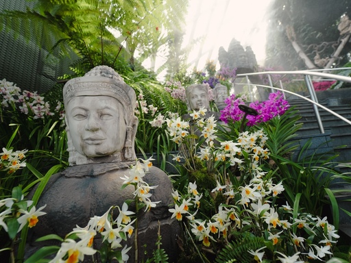 Du khách ấn tượng khi được chiêm ngưỡng muôn loài hoa đua sắc. Ảnh: TimeOut