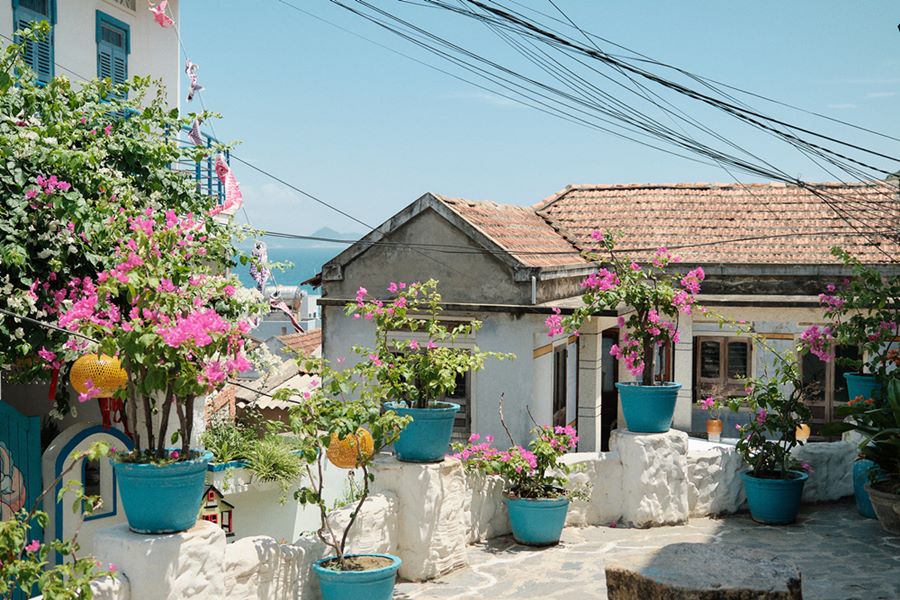 Đến Nhơn Lý mùa hè du khách không chỉ check-in với tranh tường, ngắm cảnh biển xanh mát mắt mà còn được len lỏi ở những con ngõ nhỏ trồng đầy hoa giấy đang nở rộ.