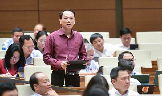 Đại biểu Quốc hội Lưu Bá Mạc phát biểu tại Quốc hội sáng 29.5.