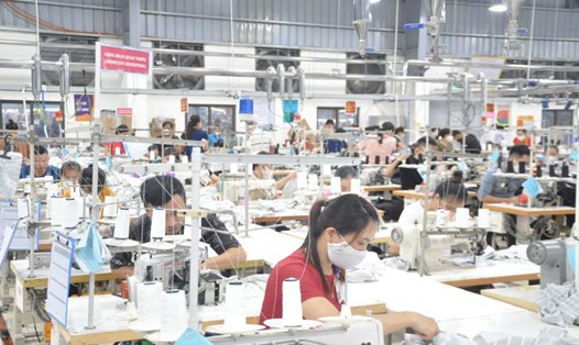 Công nhân làm việc trong một doanh nghiệp may thuộc tỉnh Bắc Giang. Ảnh: Bảo Hân