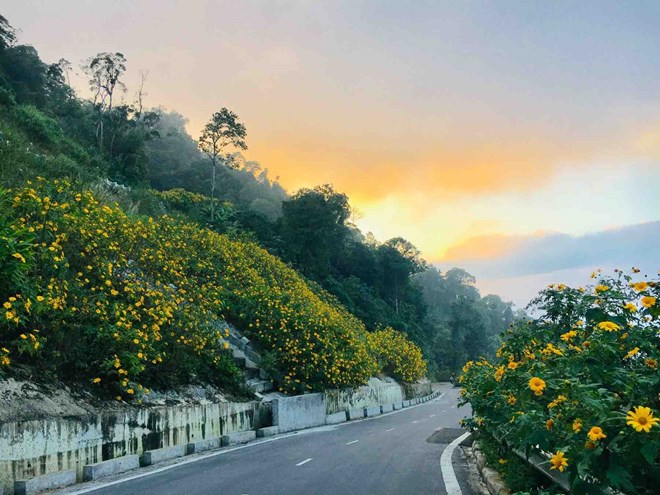 Hà Nội cải tạo hơn 8km đường đến Vườn quốc gia Ba Vì