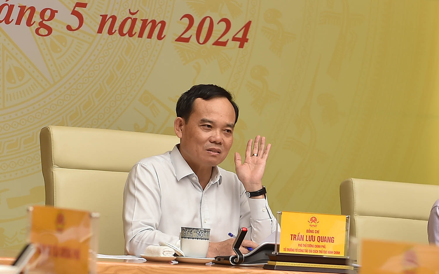 Phó Thủ tướng Chính phủ Trần Lưu Quang phát biểu kết luận. Ảnh: VGP