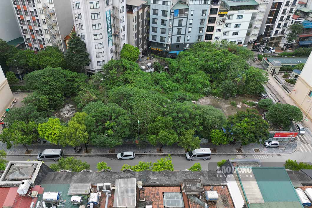 Công ty CP đầu tư phát triển đô thị và Khu công nghiệp Sông Đà đã có hợp đồng chuyển nhượng cho Hợp tác xã Dịch vụ tổng hợp nông nghiệp Mỹ Đình từ năm 2007 nhưng đến nay chưa hoàn thiện thủ tục để được Nhà nước giao đất, cấp giấy chứng nhận quyền sử dụng đất để đầu tư xây dựng theo quy định.