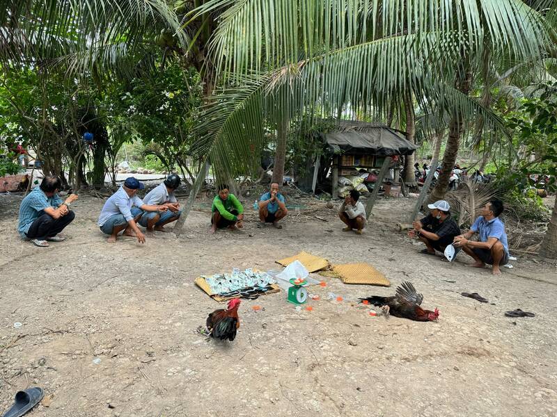 Công an Vĩnh Long bắt quả tang 8 đối tượng đá gà tại huyện Vũng Liêm. Ảnh: Công an cung cấp