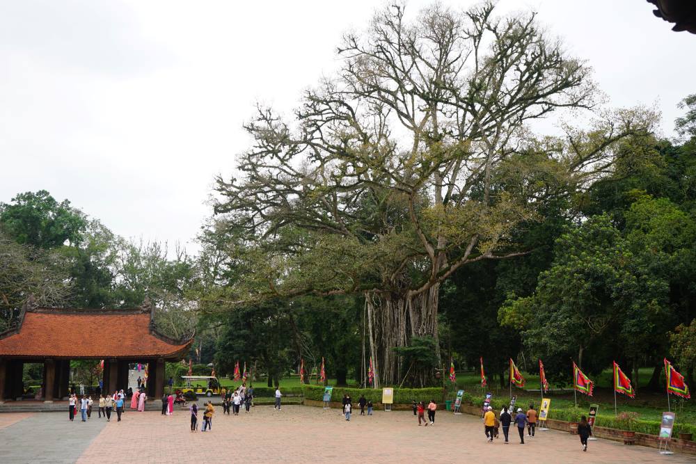 Hàng năm, khu di tích lịch sử Quốc gia đặc biệt Lam Kinh thu hút rất đông khách du lịch. Ảnh: Quách Du