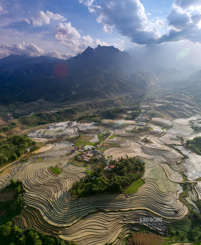 Bức tranh ngày mùa khẩn trương, rộn ràng và đẹp tựa tranh vẽ trong những ngày nước về.