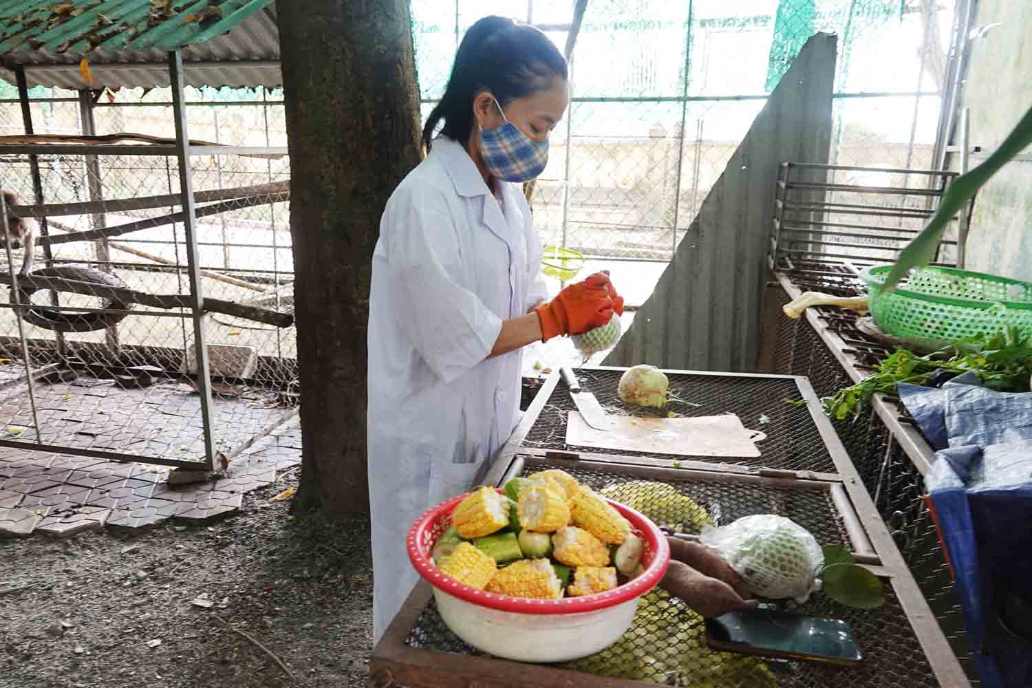 Chị Hồng chuẩn bị thức ăn cho động vật hoang dã nuôi tại VQG Vũ Quang trước khi tái thả về tự nhiên. Ảnh: Hải Yến.