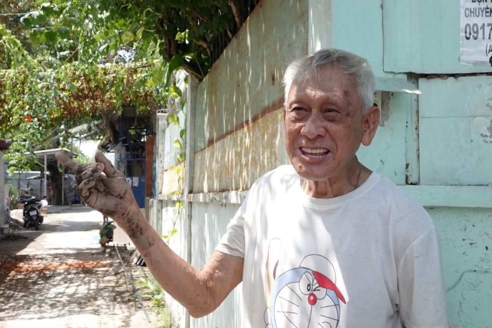 Chủ nhân của cây phượng vàng này là Phó Giáo sư Châu Bá Lộc (81 tuổi, Nguyên Trưởng Khoa Chăn nuôi - Thú y, Trường Đại học Cần Thơ). Trong chuyến công tác tại Nepal gần 20 năm trước (2006), ông thấy cây phượng vàng đẹp và độc lạ nên đã đem cây con về nước rồi trồng trước sân nhà.