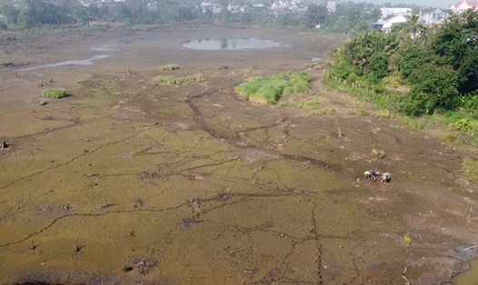 Một hồ đập ở tỉnh Đắk Nông đã cạn kiệt nguồn nước. Ảnh: Phan Tuấn
