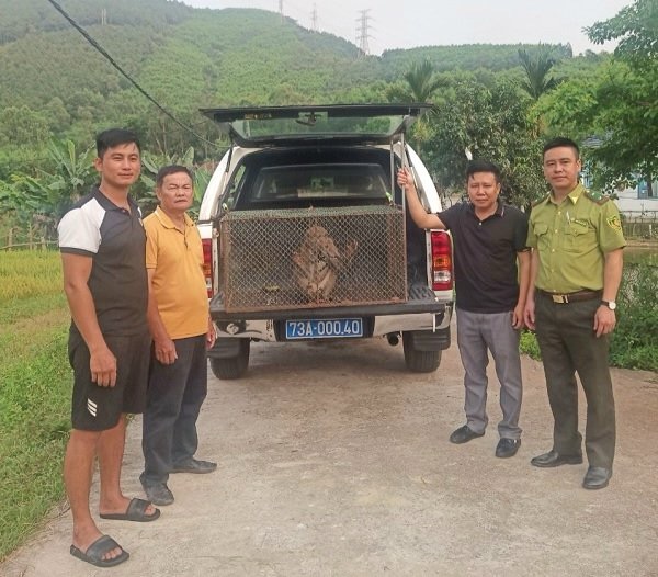 Lực lượng chức năng tiếp nhận cá thể mèo rừng và khỉ mốc quý hiếm từ người dân. Ảnh: N. Phượng