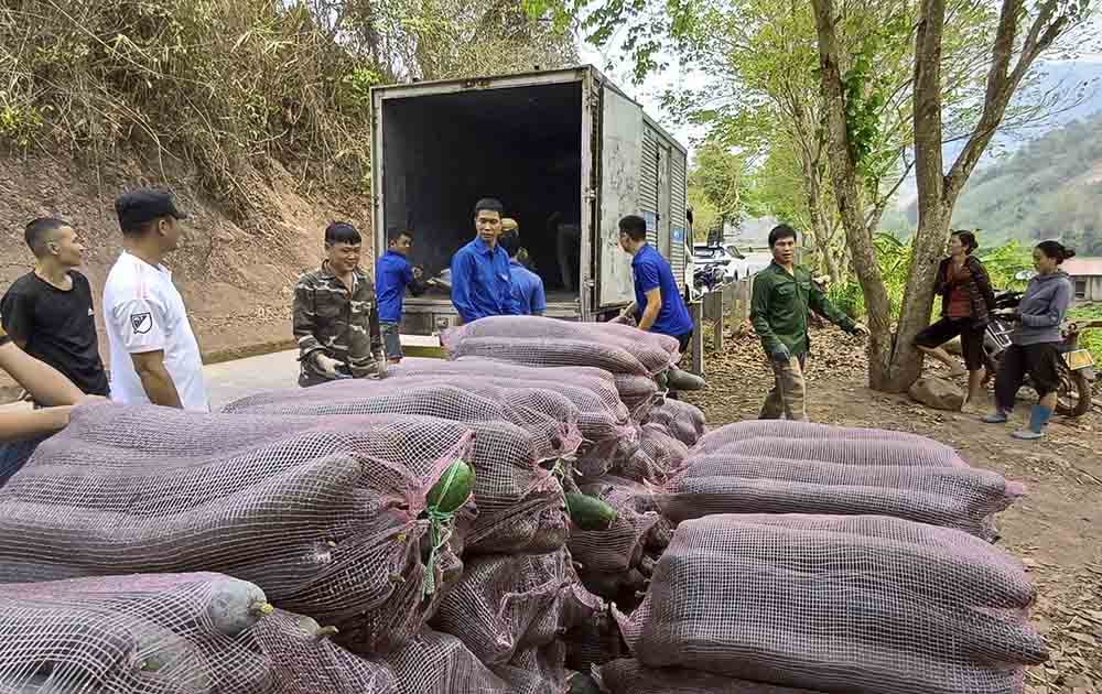 Huyện Nậm Pồ tặng 12 tấn bí xanh cho lực lượng tham gia luyện tập diễu binh, diễu hành. Ảnh: Văn Toán