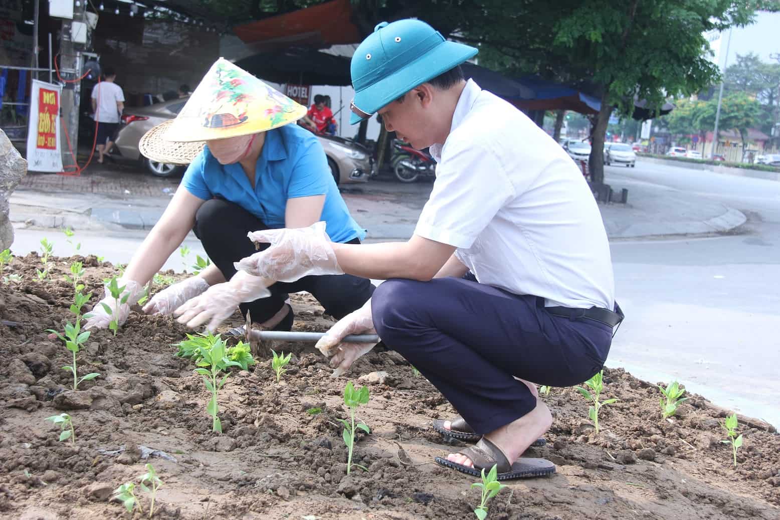 Trong sáng ngày 5.4, hàng nghìn cây hoa mào gà đã được trồng tại khu vực đường Đào Duy Từ. Ảnh: Nguyễn Trường