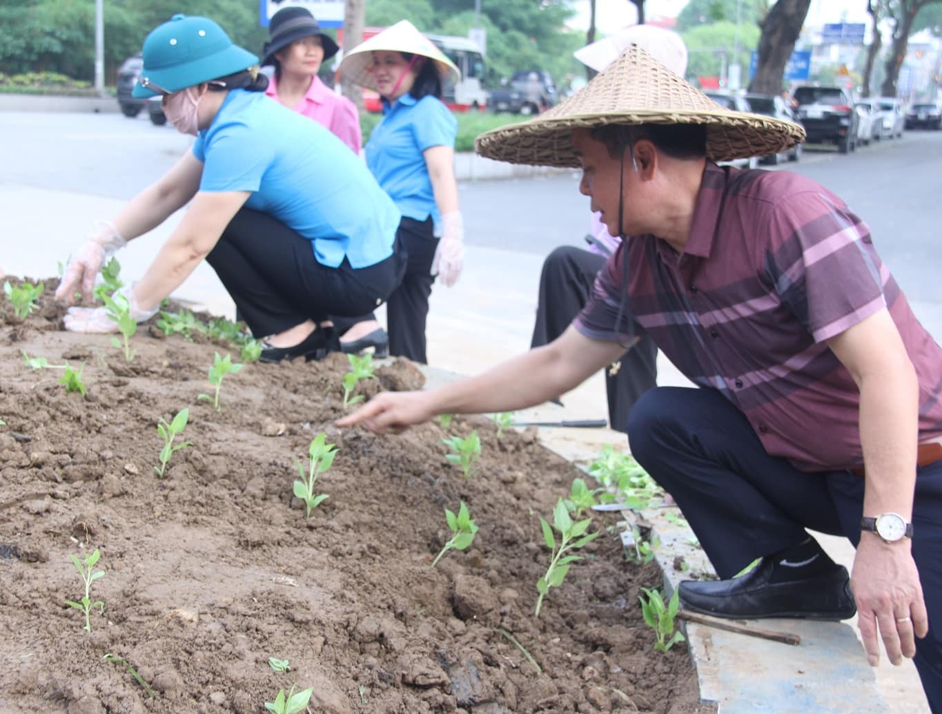 Cán bộ công đoàn tham gia trồng hoa trên đường Đào Duy Từ. Ảnh: Nguyễn Trường