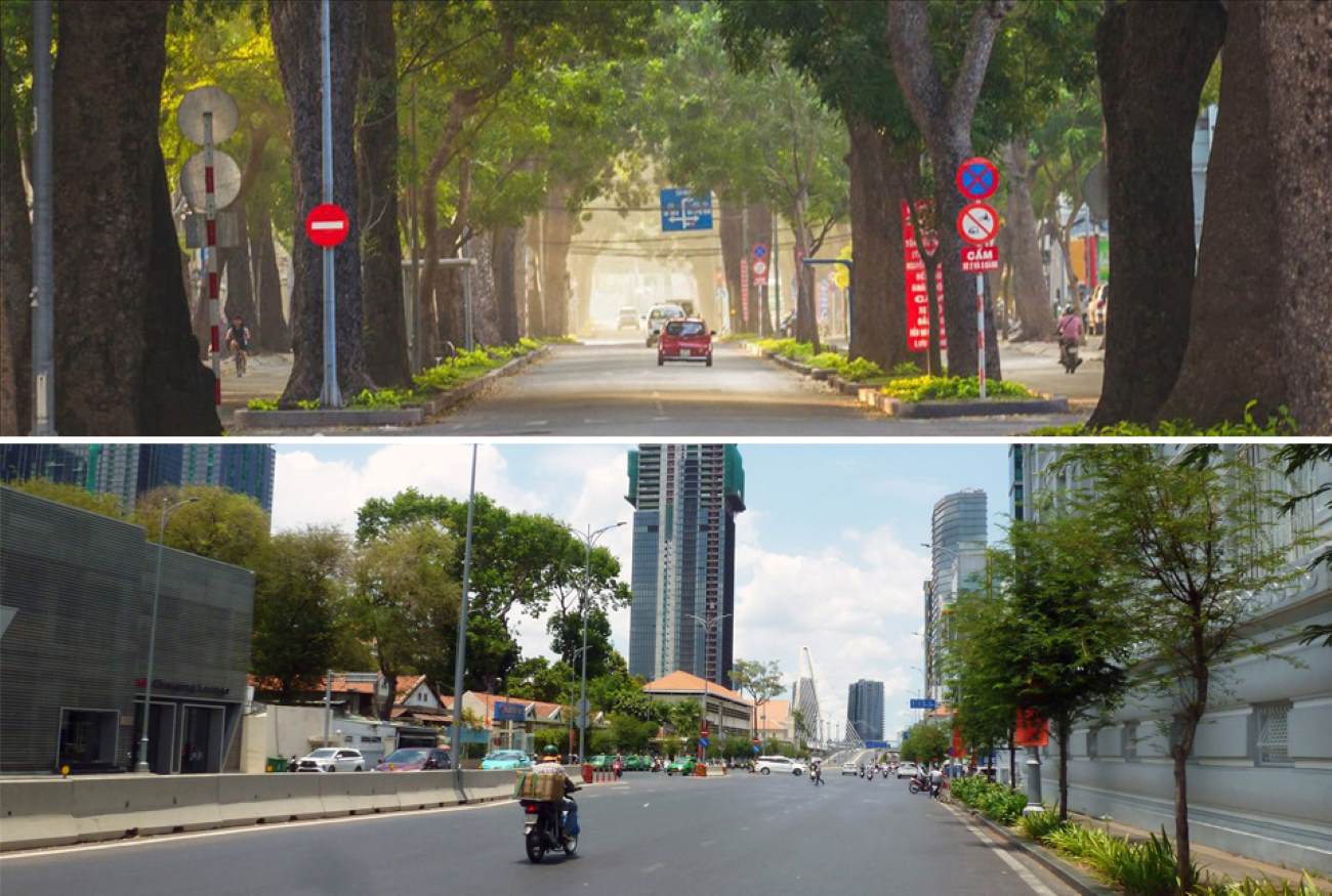 Đường Tôn Đức Thắng (Quận 1) trước đây có nhiều cây cổ thụ, hiện chỉ có vài cây nhỏ.   Ảnh: Minh Quân