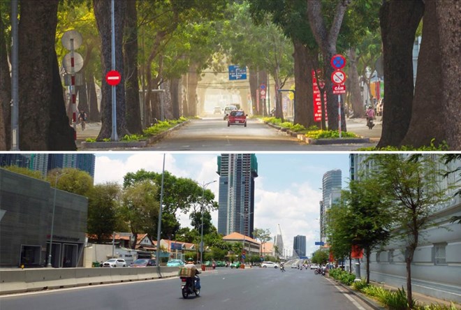Cây xanh trồng mới chưa đủ bù cây xanh bị đốn hạ ở TPHCM
