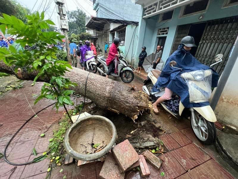Mưa đá kèm dông lốc khiến cây xanh gãy đổ, nhà cửa tốc mái tại Lào Cai. Ảnh: Người dân cung cấp 