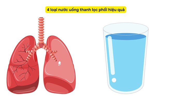 4 loại nước uống thanh lọc phổi hiệu quả