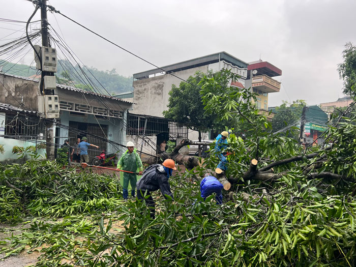 Lực lượng chức năng được huy động để dọn dẹp cây cối gãy đổ. Ảnh: Người dân cung cấp