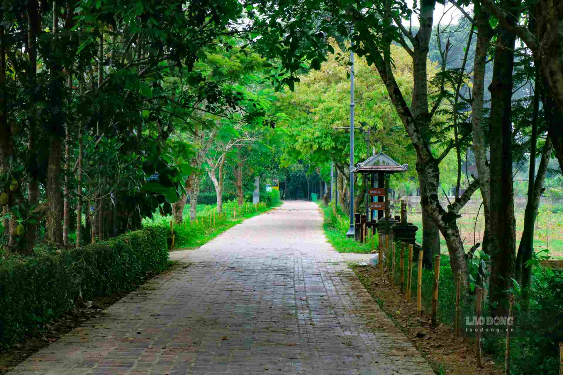 Theo ông Phan Thanh Hải, Giám đốc Sở Văn hóa và Thể thao Thừa Thiên Huế, với những giá trị nổi bật về lịch sử, kiến trúc nghệ thuật của di tích, nhằm bảo tồn những tinh hoa văn hóa của dân tộc, góp phần phát huy giá trị di tích, UBND Thừa Thiên Huế có tờ trình gửi Bộ Văn hóa Thể thao và Du lịch về việc đề nghị nâng cấp xếp hạng di tích Làng cổ Phước Tích lên Di tích Quốc gia đặc biệt.