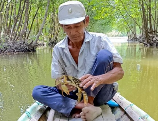 Cua nuôi tại huyện Ngọc Hiển, tỉnh Cà Mau chết hàng loạt do ảnh hưởng nắng nóng. Ảnh: Nhật Hồ